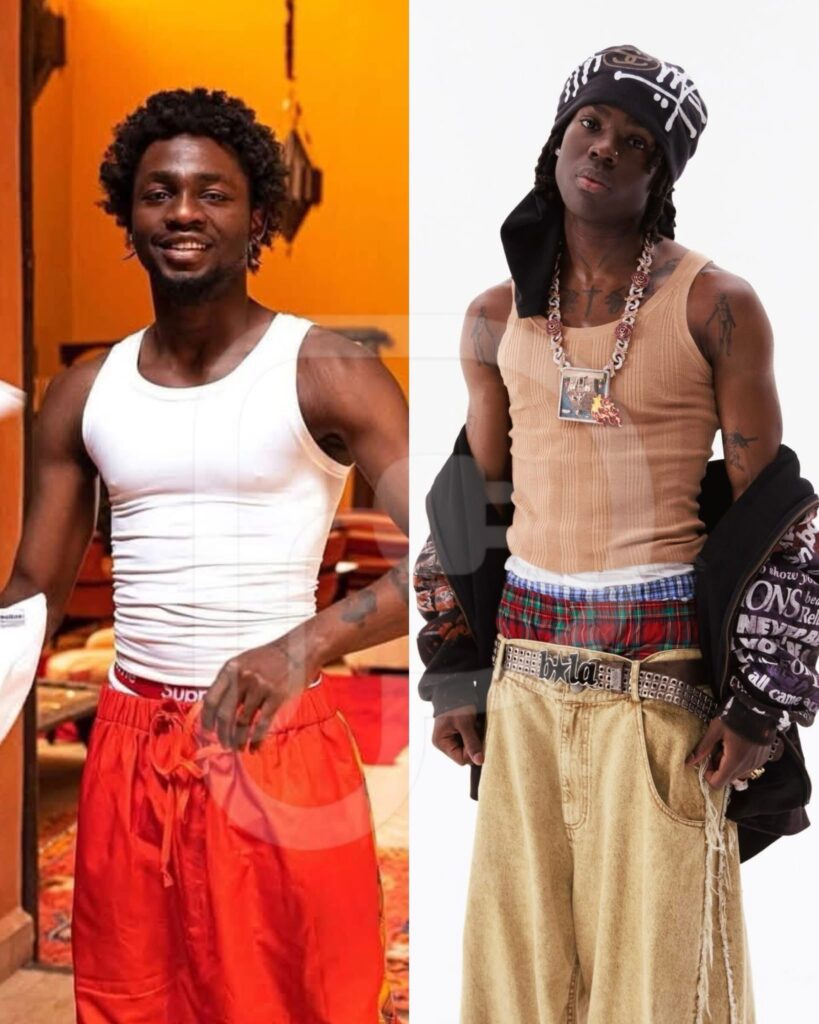 Did Rema Really Steal Omah Lay’s Album Idea?