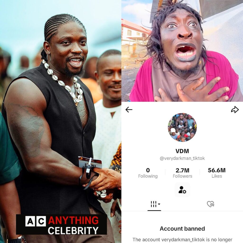 vdm tiktok account taken down million followers