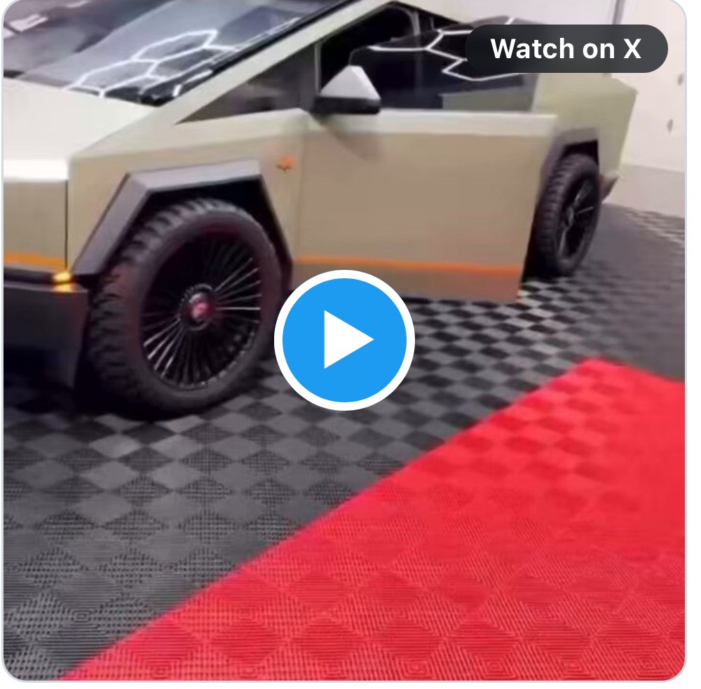 zlatan buys cybertruck symbol of hope