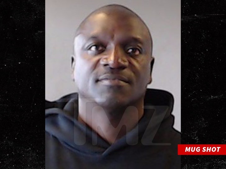 akon arrested georgia everything you need to know