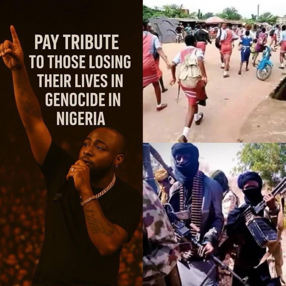 Nigerian superstar Davido Pauses Concert for Nigerians in Crisis: A Show of Compassion