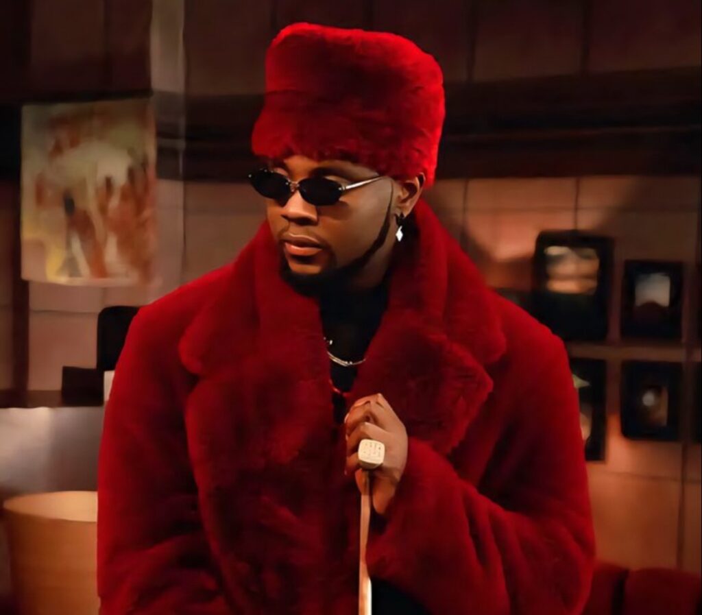 kizz daniel explains tanzania concert controversy